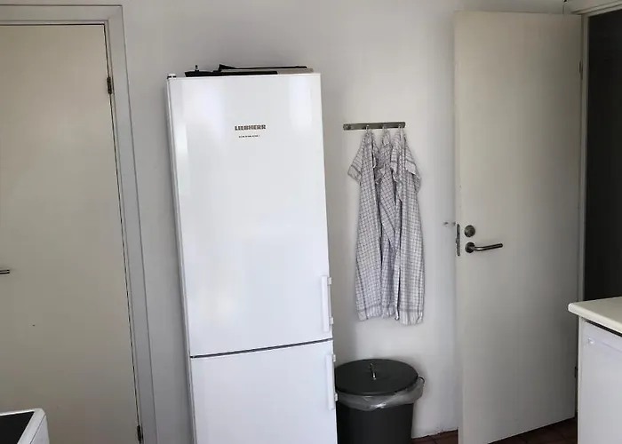 In Quiet Yellow Courtyard 招待所 *